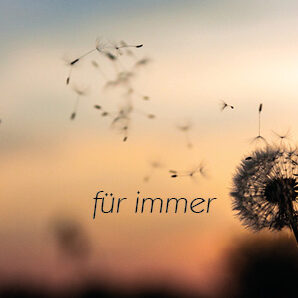 Trauerkarte - Pusteblume